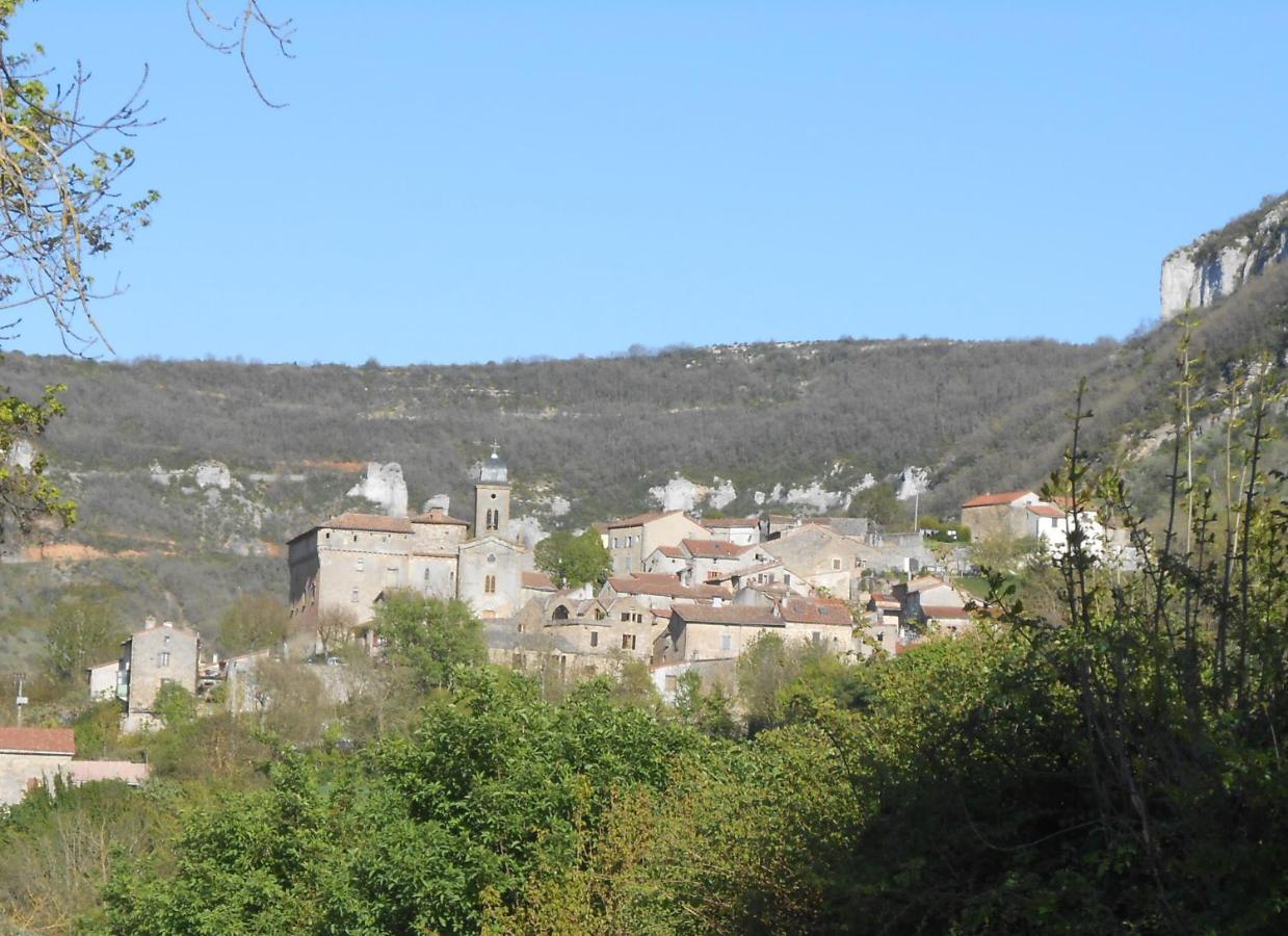 Maison Spacieuse Et Agreable Saint-Georges-de-Luzencon Экстерьер фото